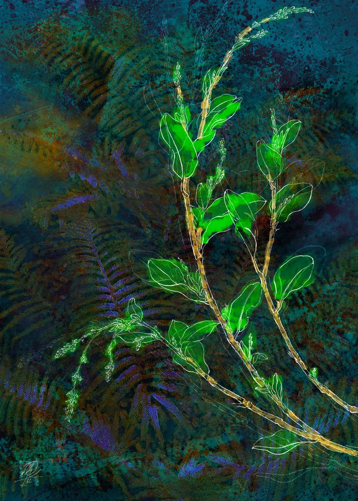  作： 