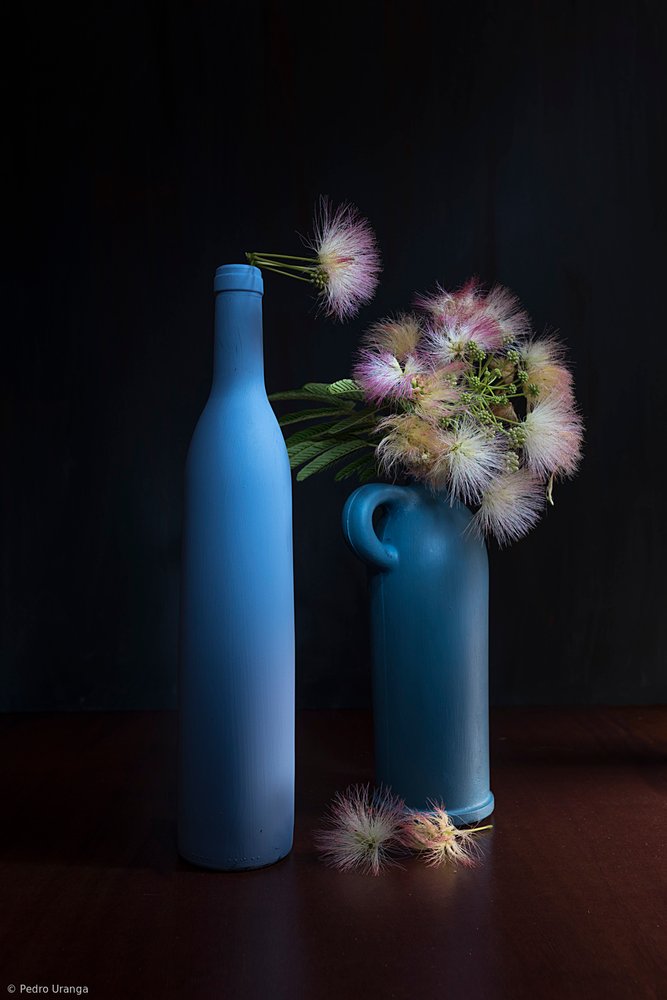 植物画の青とピンク 作： 