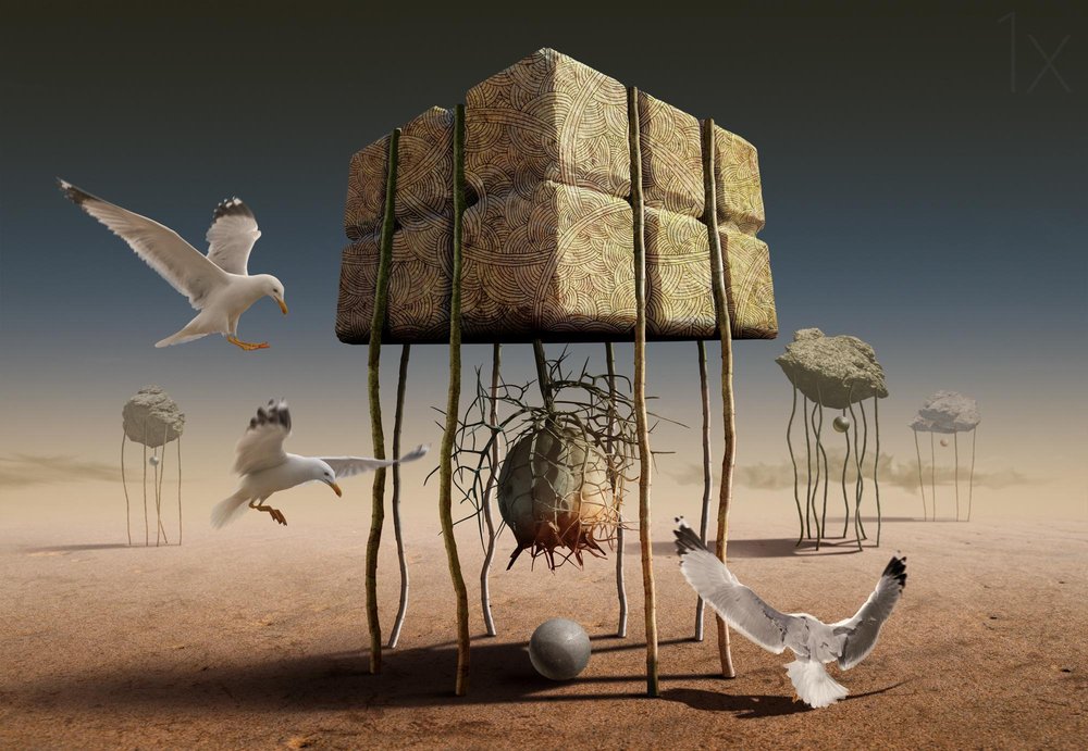 砂漠の建造物の上を飛ぶカモメたち 作： 
