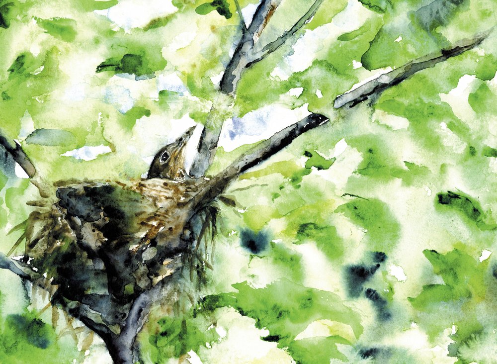  作： 