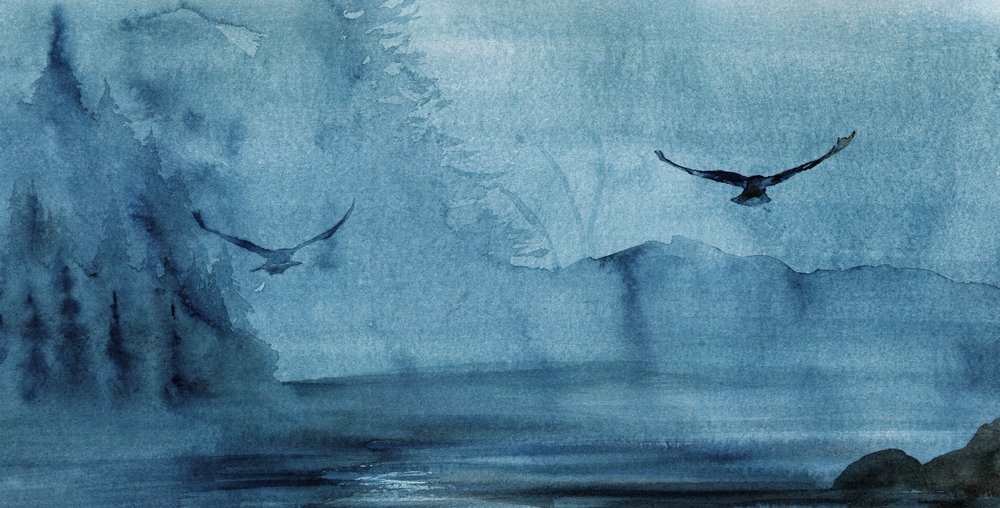 青い霧の中の鳥たち 作： 