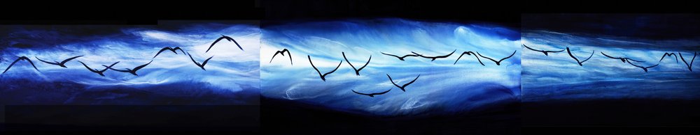 幻想的な空を舞う群れ 作： 