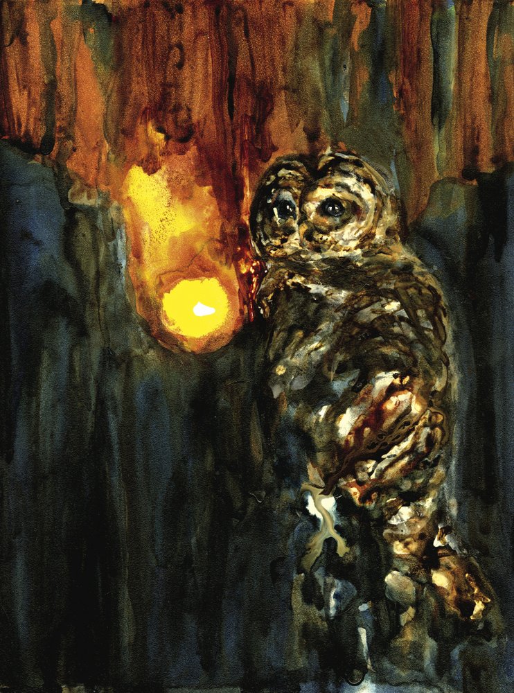 神秘のフクロウの灯 作： 