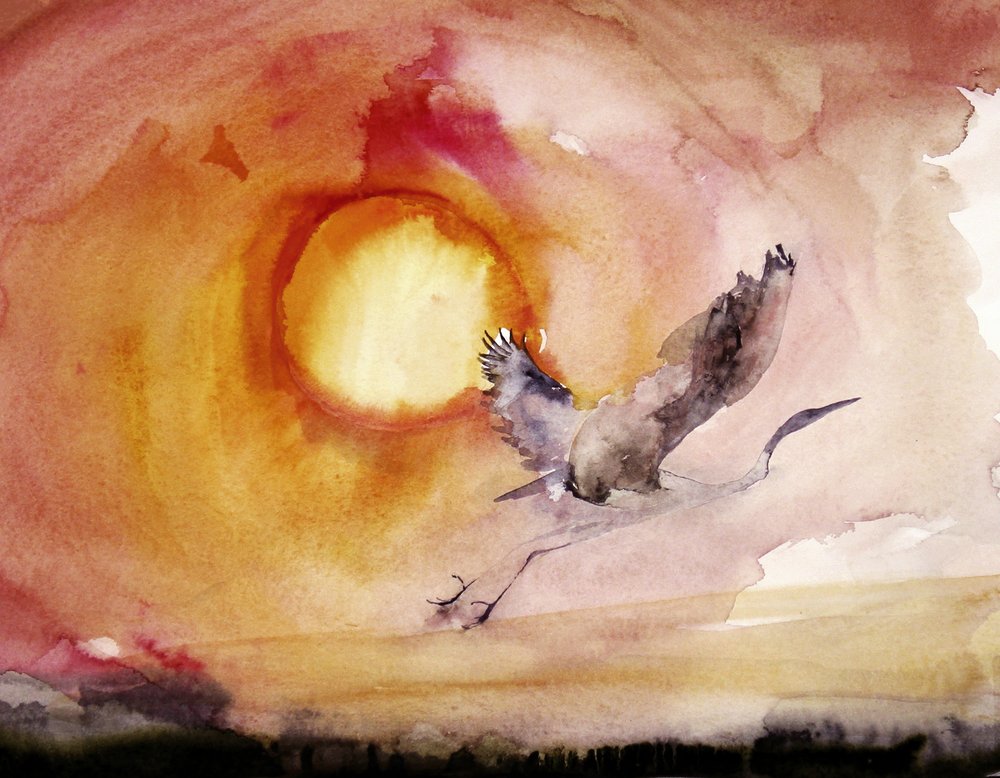 色鮮やかな鳥の夕日 作： 