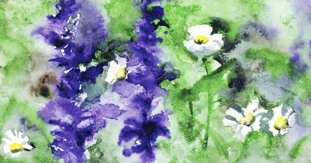 色鮮やかな庭の花 作： 