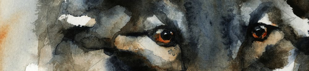 ワイルド・ウルフ・アイズ 作： 