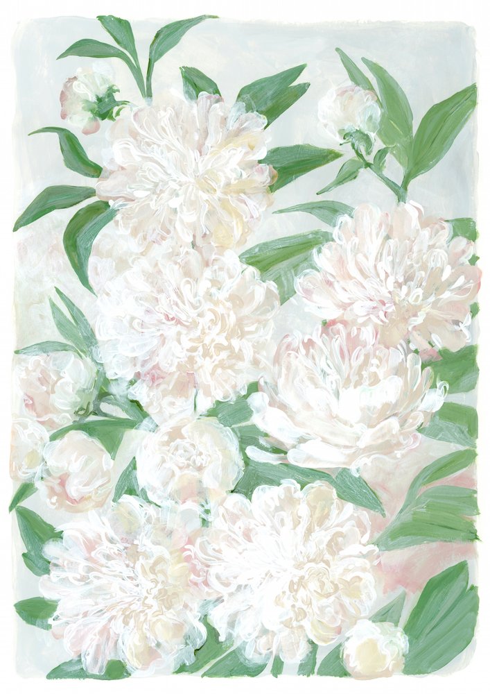 柔らかな牡丹の花 作： 