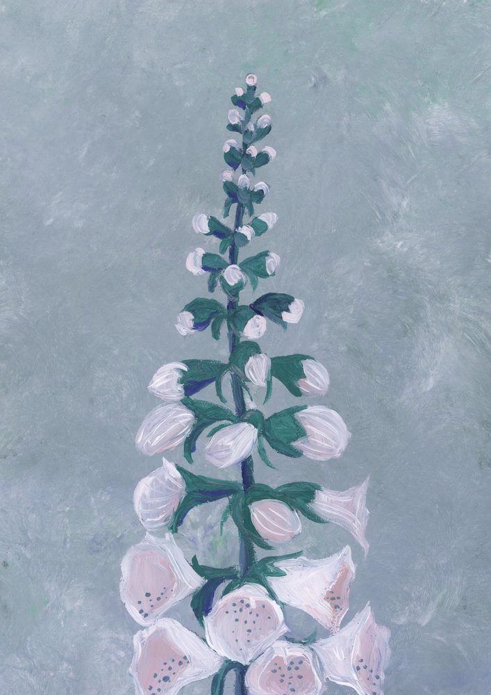白いキツネノテブクロの花 作： 