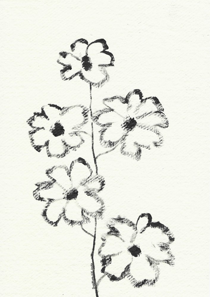 木炭による花のスケッチ 作： 