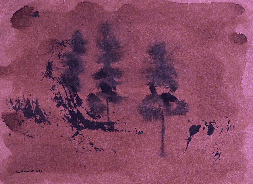 暗い森の風景 作： 