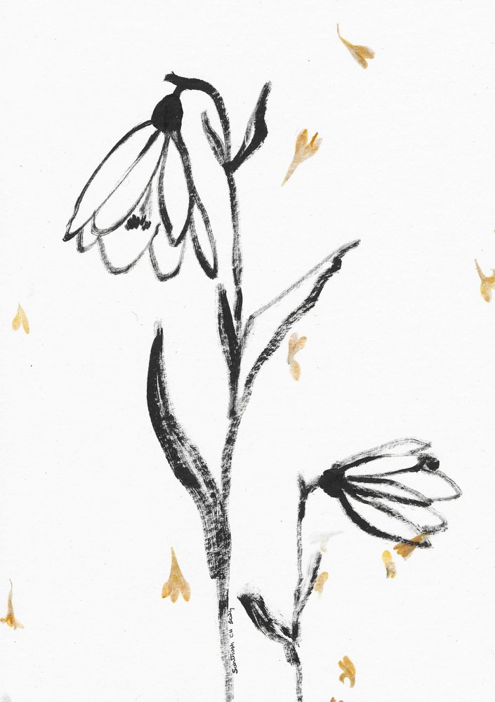 繊細な花のスケッチ 作： 