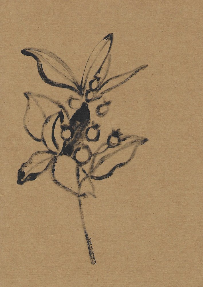 土色の植物画 作： 