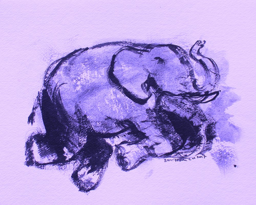 ゾウ 42 作： 