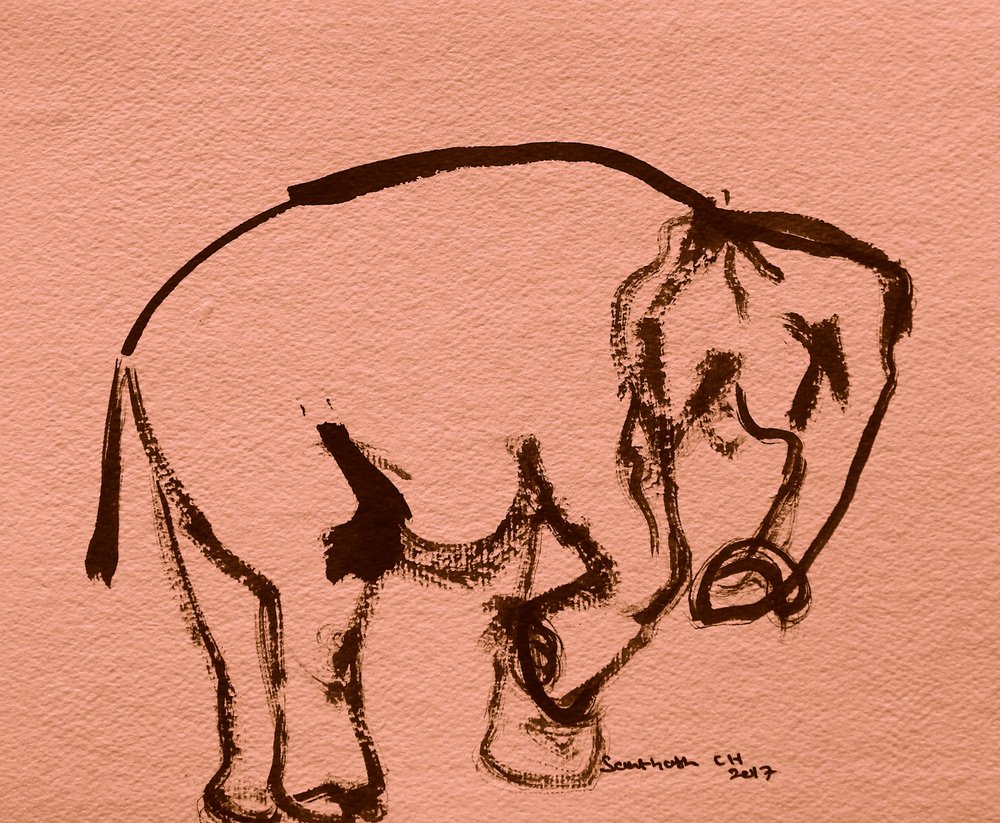 ゾウの墨絵スケッチ 作： 
