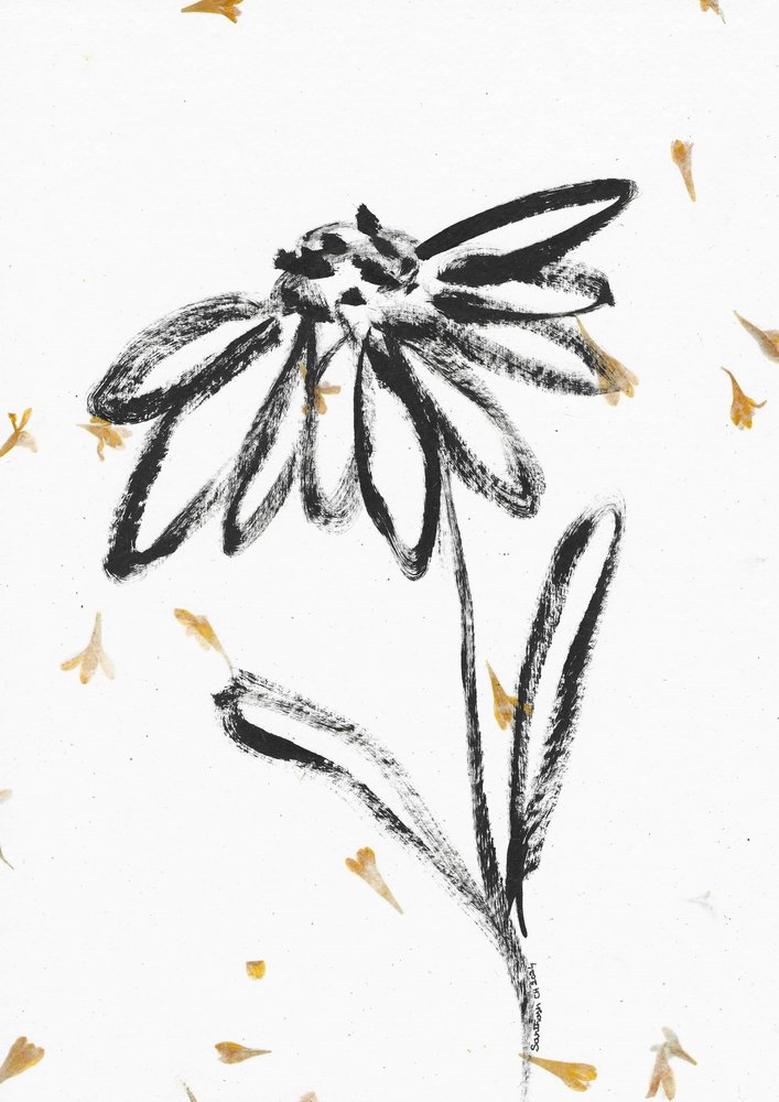 散る花びらを持つ花 作： 