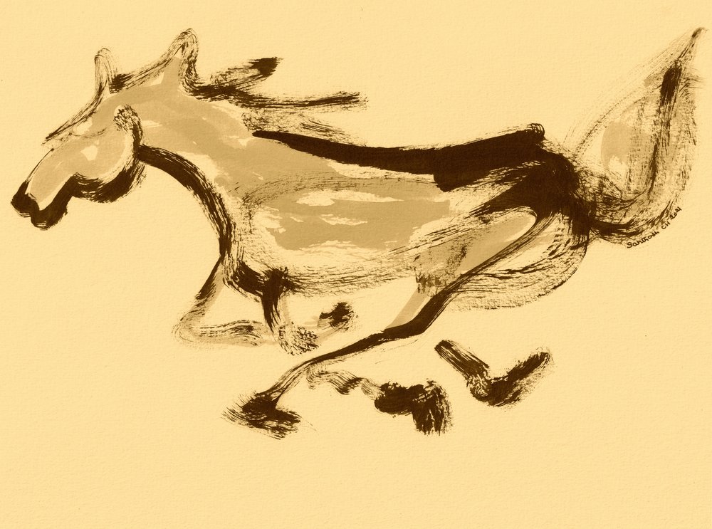 疾走する馬の動き 作： 