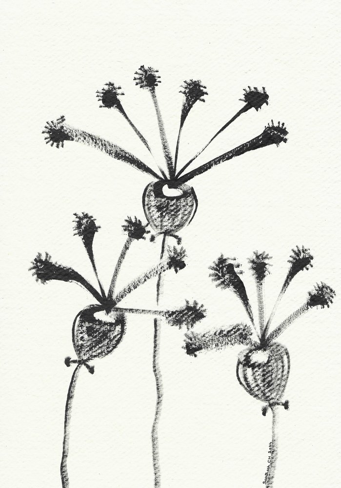 ミニマリストの植物画 作： 