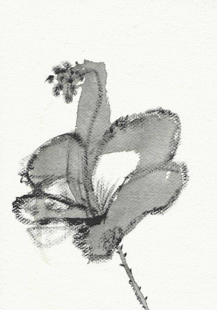 単色の花の習作 作： 