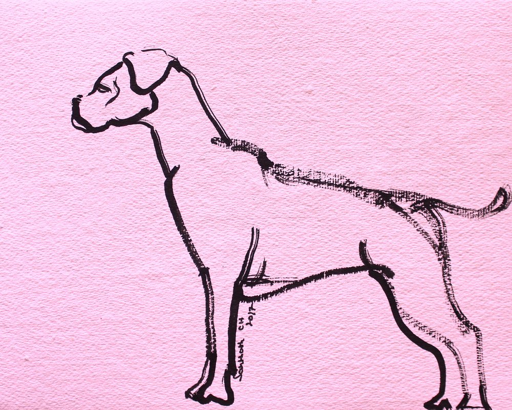 ピンクのボクサーの線画 作： 