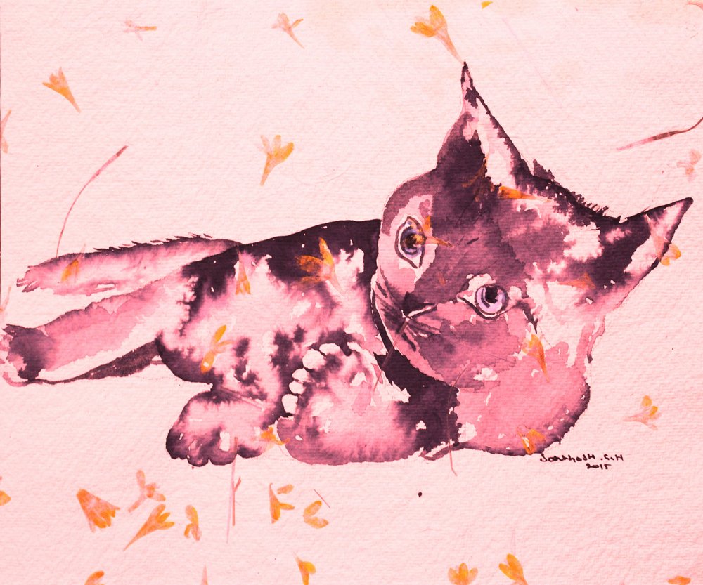 遊び心あふれるピンクの子猫 作： 