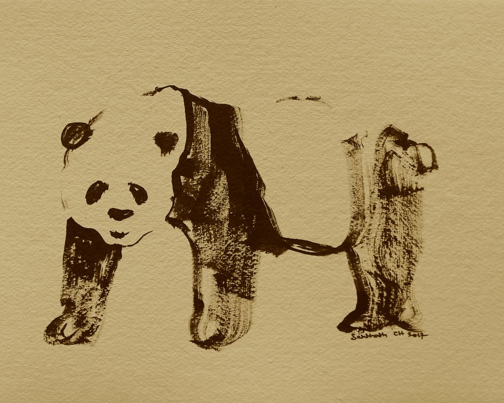 様式化されたパンダの素描 作： 