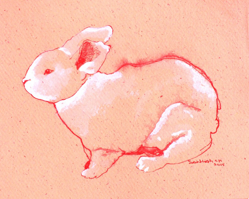 かわいい小さなウサギ 作： 