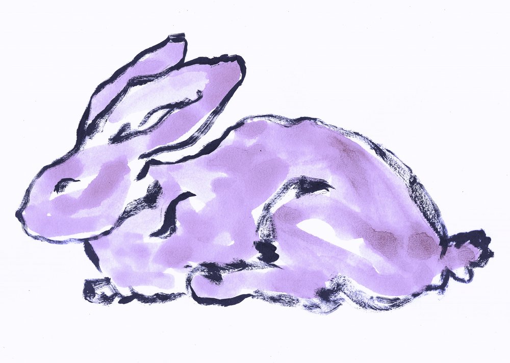 風変わりなラベンダー色のウサギ 作： 