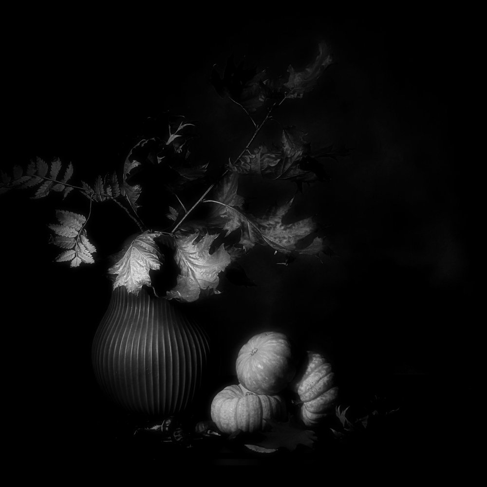 「暗い秋の静物画」 作： 