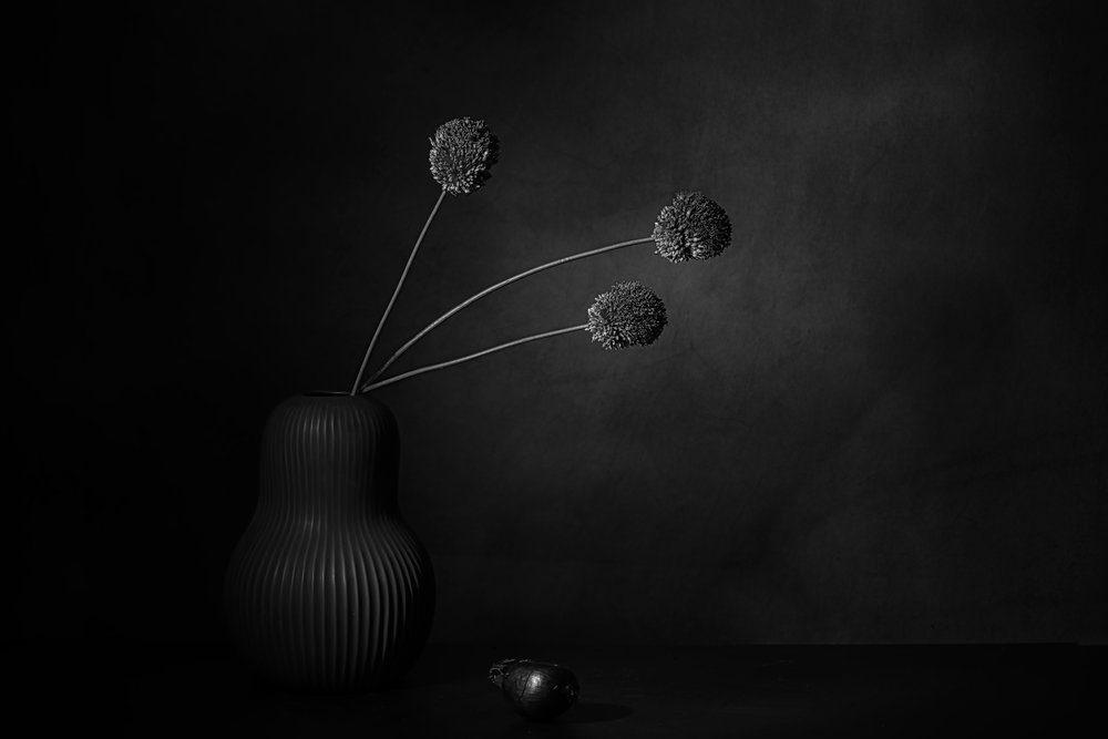 闇に包まれた花の静寂 作： 