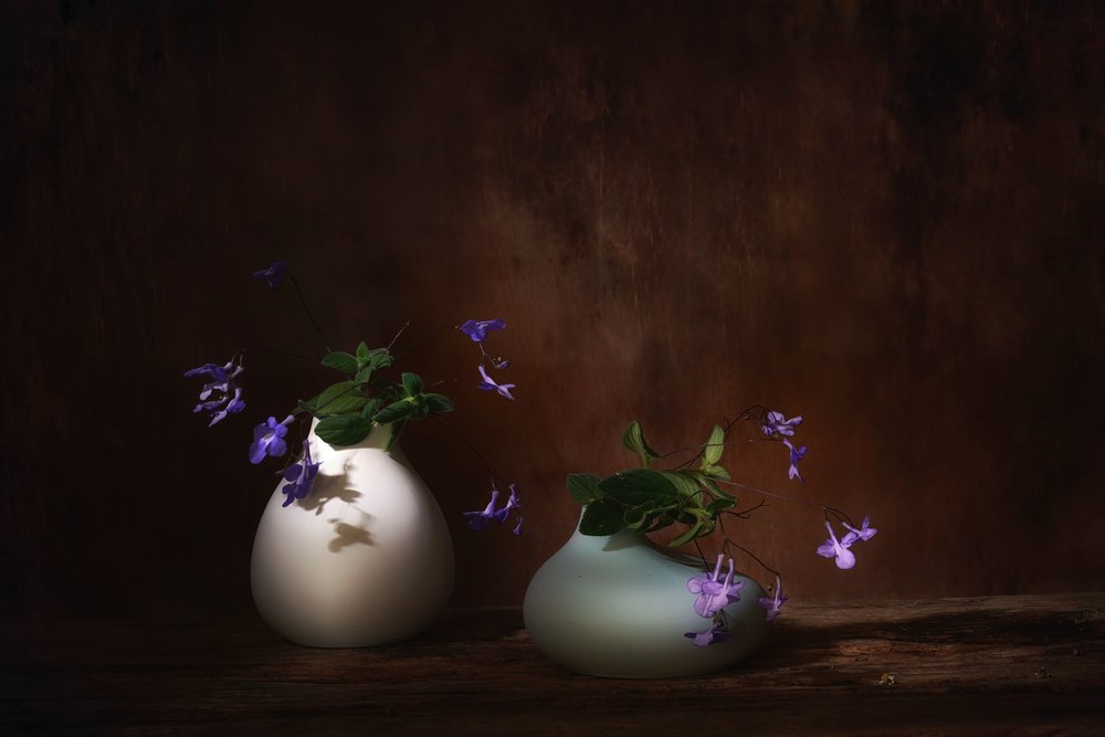 水面に浮かぶ紫の花々 作： 