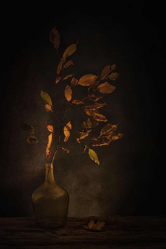 物思いにふける秋の紅葉 作： 