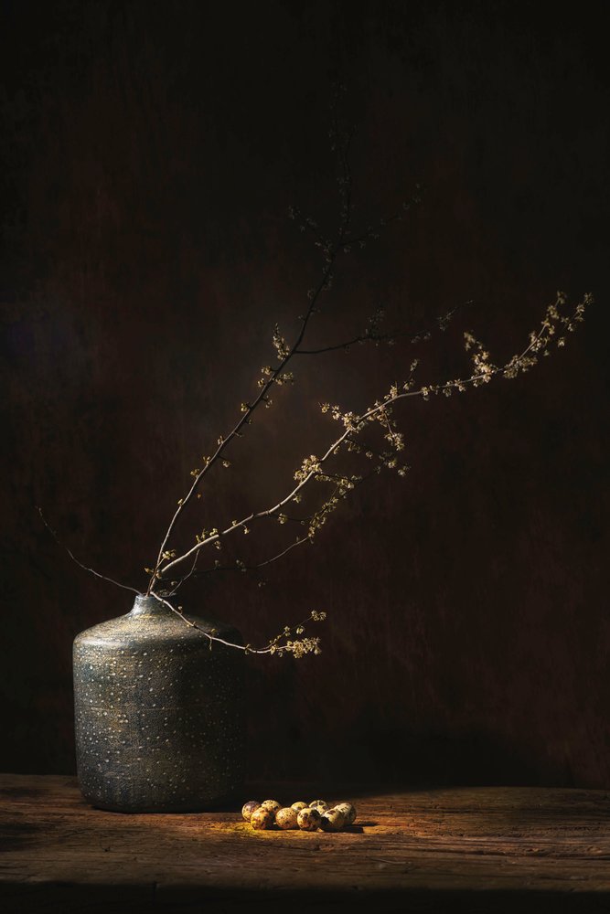 ムーディな植物の静物画 作： 