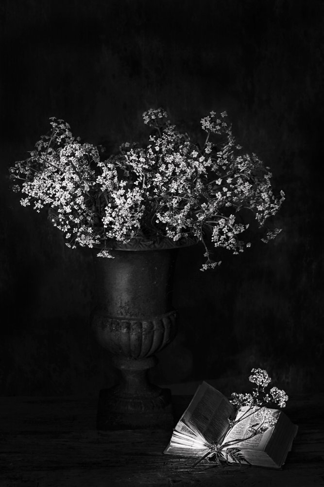 ムーディな花の静物画 作： 