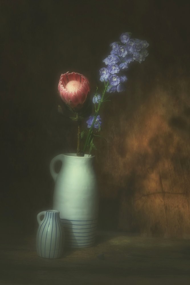 ピンクのプロテアの花の静物画 作： 