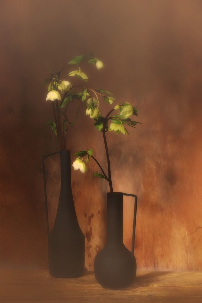 静謐な花の優雅さ 作： 