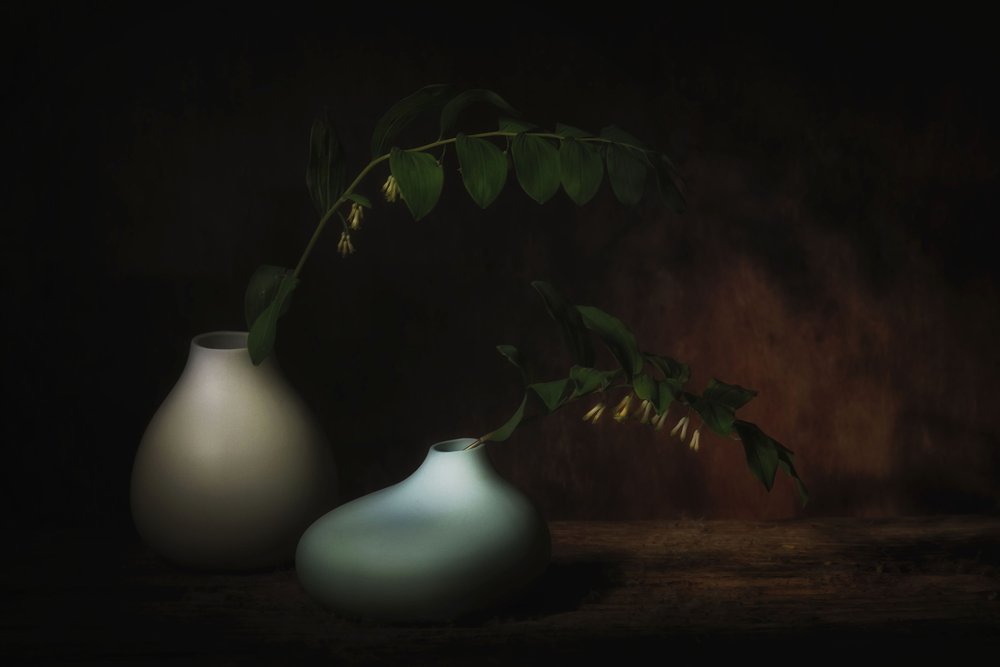 穏やかな植物の静物画 作： 