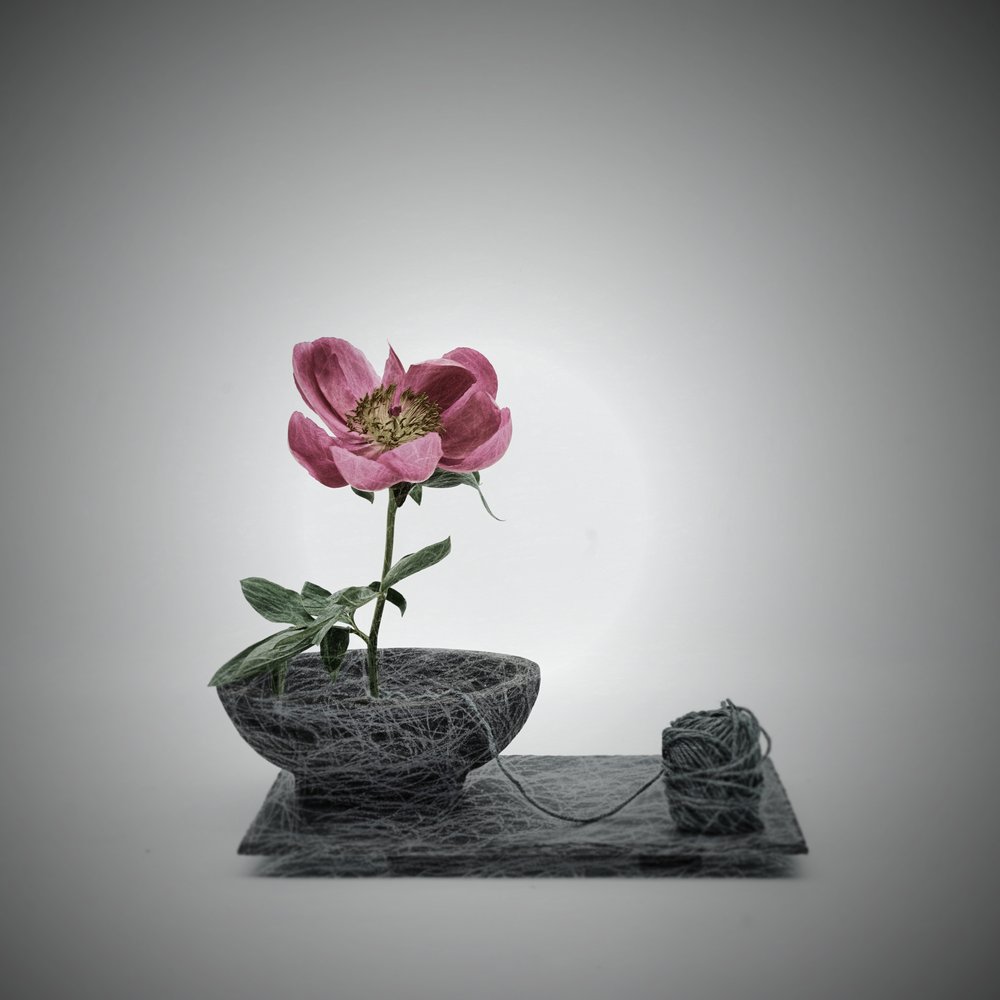 ピンク色の花々が織りなす風景 作： 