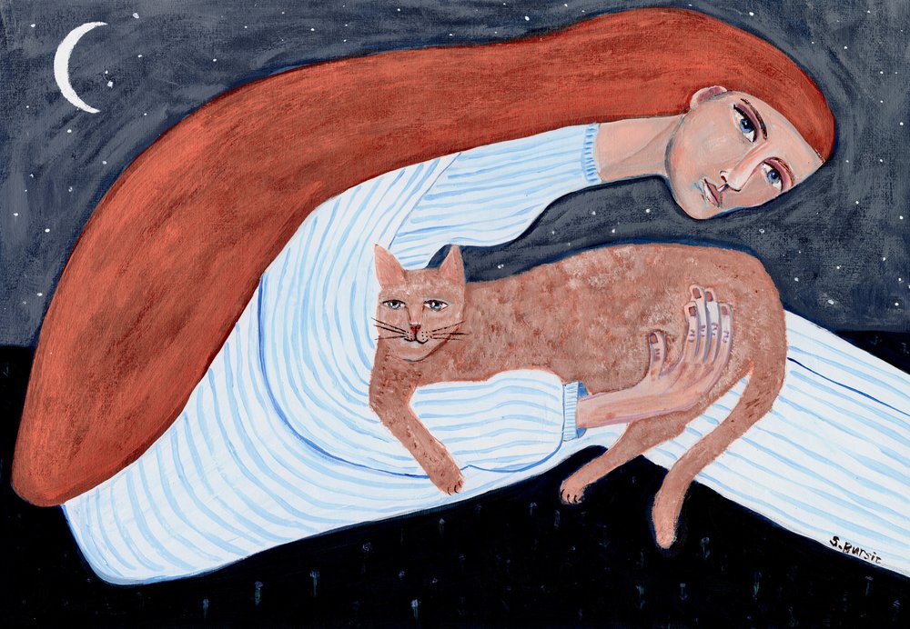 夢のような猫の夜の抱擁 作： 