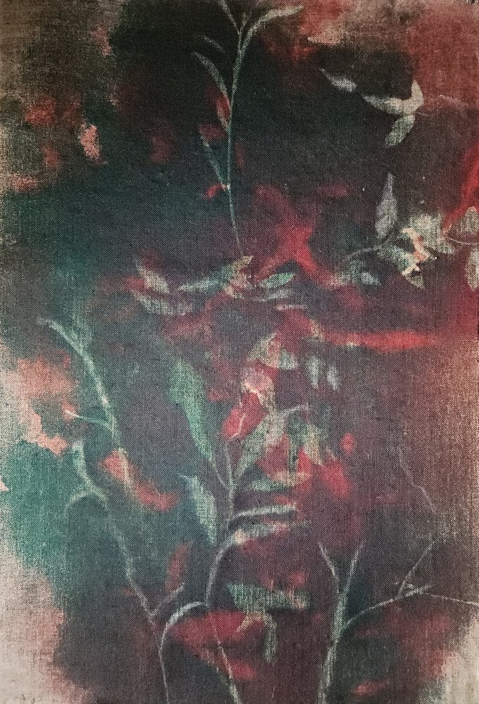 暗い植物の静けさ 作： 