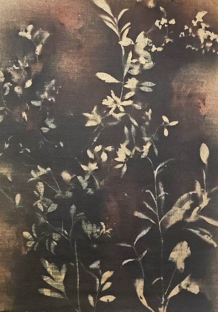 暗い植物のシルエット 作： 