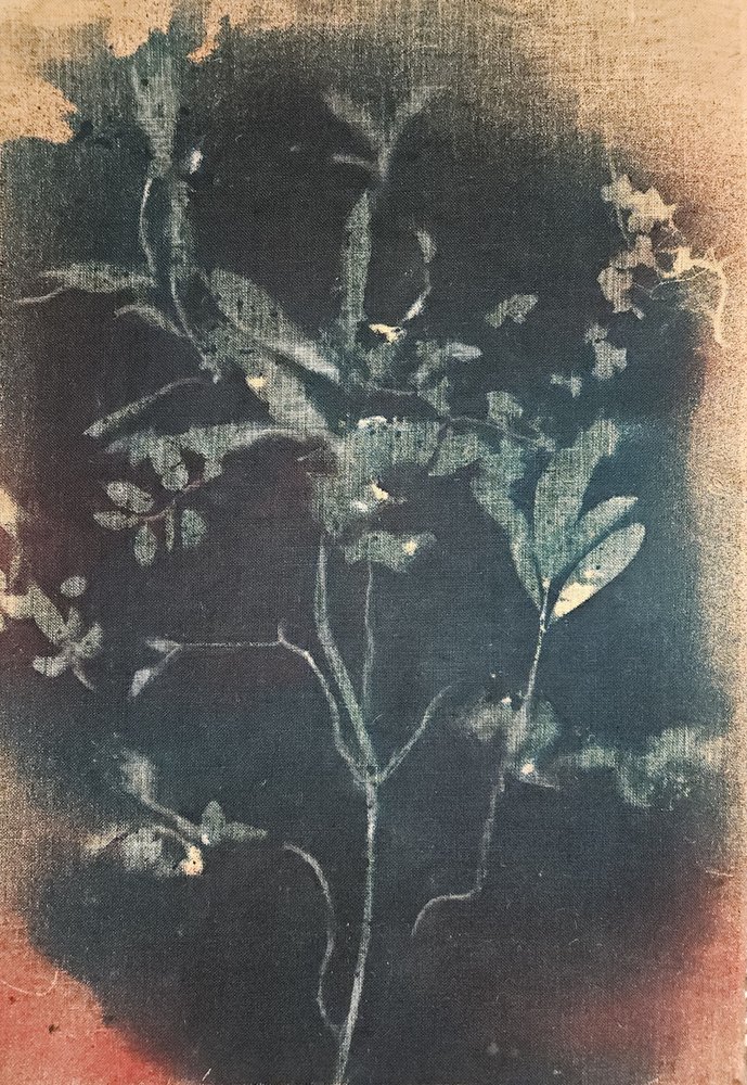 色あせた青い植物画 作： 