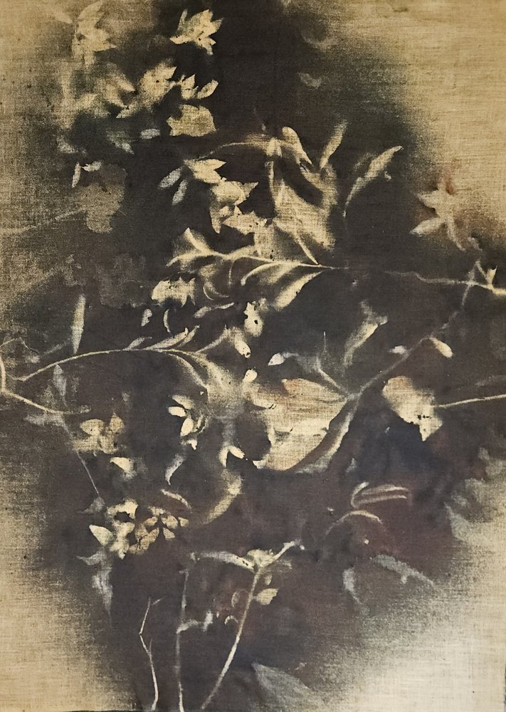 陰鬱な花の影 作： 