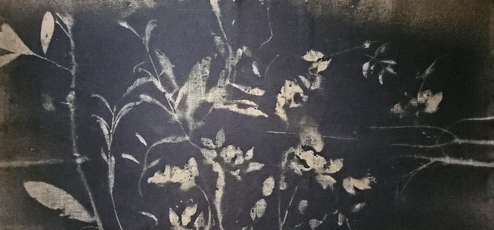 影の庭園の花 作： 