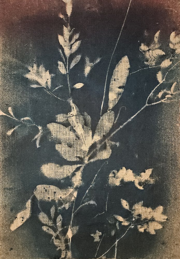 ヴィンテージ風の青い植物画 作： 