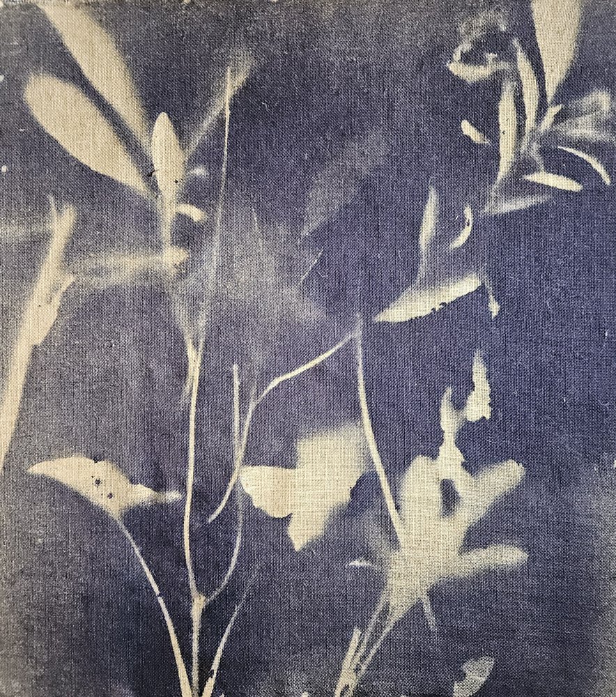 ヴィンテージ植物画の青 作： 