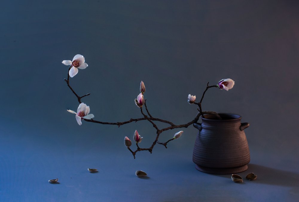 禅・マグノリアの花 作： 