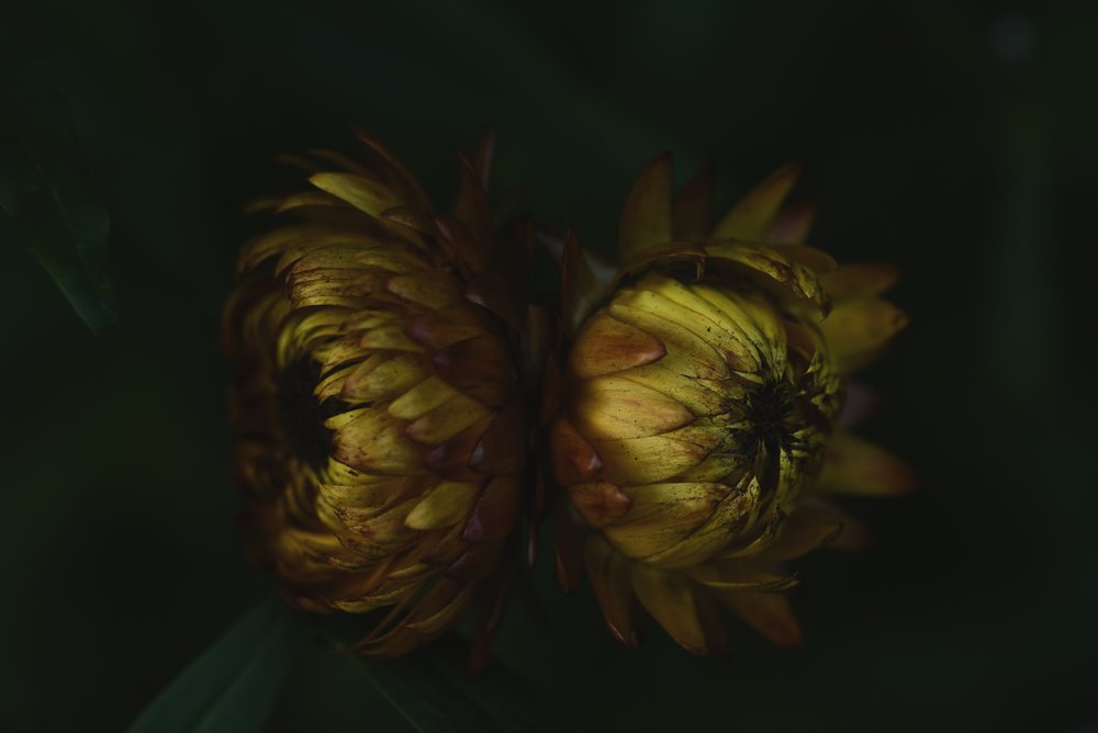 作： 