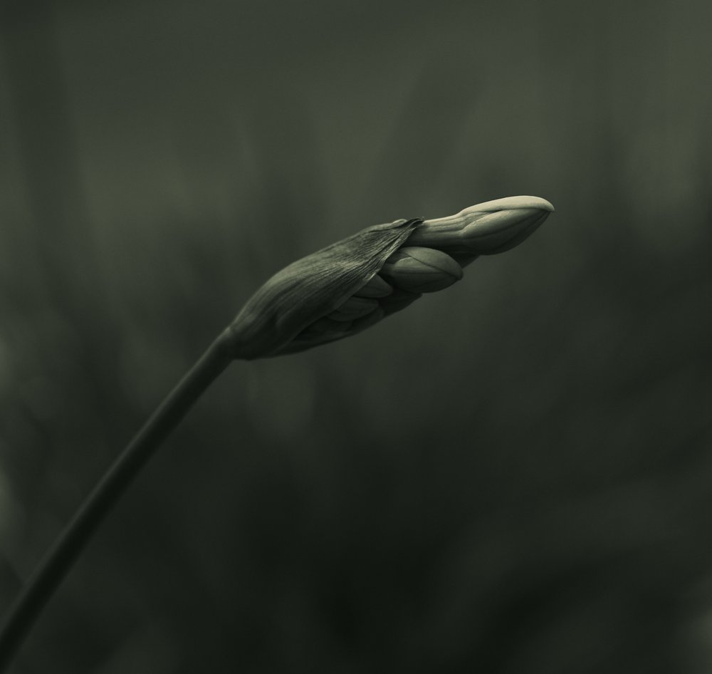  作： 