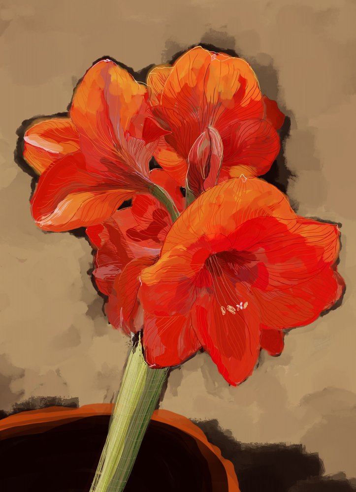 鮮やかなアマリリスの花 作： 