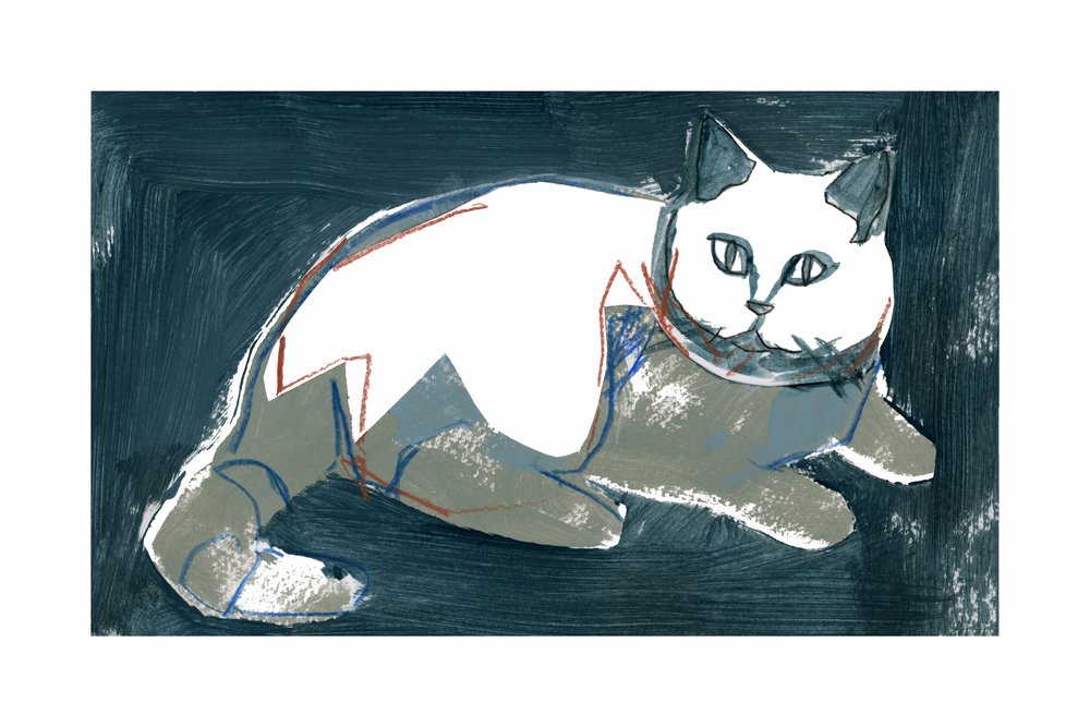 芸術的な白い猫 作： 